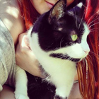 Profilbild für Katrin S