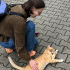 Profilbild für Olesia S