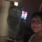 Profilbild für Katharina J