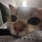 Profilbild für Valerie Z