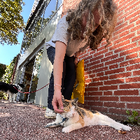 Profielfoto voor Mette v