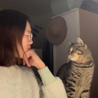 Profilbild für Kalla(Mengwei) M