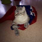Avatar pour Jérôme B