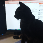 Avatar pour Léna L