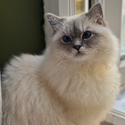 Avatar for Danielle M