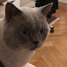 Profilbild für Imane E