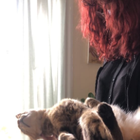 Profielfoto voor Rina P