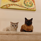 Profilbild für Wolfgang K