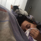 Profilbild für Steffi M