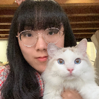 Avatar pour Jie W