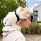 Profilbild für Yang Y