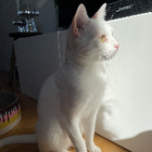 Profilbild für Malin L