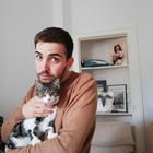 Avatar pour Diogo S