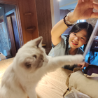 Profilbild für Xinling X