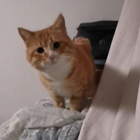 Profilbild für Helen T