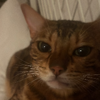 Profilbild für Estefania S