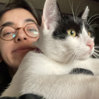 Profilbild für Emel Ü