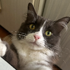 Avatar pour Lucie G