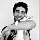 Profilbild für Talha E