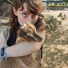 Profilbild für Lena G
