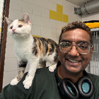 Profielfoto voor Krishna N