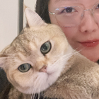 Profilbild für Ning L
