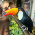 Avatar for Nerissa C