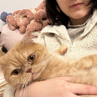 Profilbild für Beinan L