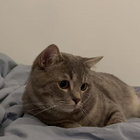 Profilbild für Johanna W