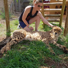 Profilbild für Desdemona K