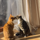 Profilbild für Michelle K