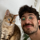 Profilbild für Oktay Y