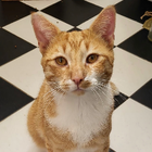 Profielfoto voor Barbara T