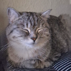 Profilbild für Celina J