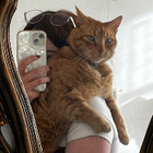 Profilbild für Isidora F