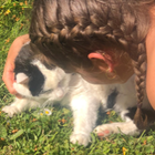 Profilbild für Viviane S