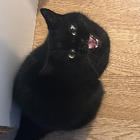 Profilbild für Lisa B