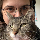 Profilbild für Jay P