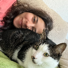 Profilbild für Su C