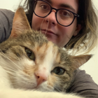 Profilbild für Jonin H