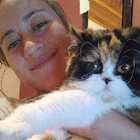 Profilbild für Vanessa V