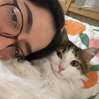 Profilbild für Sila A