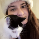 Profilbild für Julia O