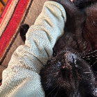 Profilbild für Emilia B