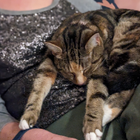 Avatar for Samantha G