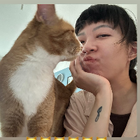 Profilbild für Peilin P