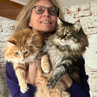 Profilbild für Beatrice F