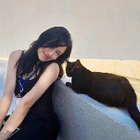 Profielfoto voor Nino A