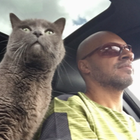 Avatar pour Franck X