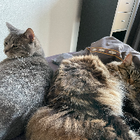 Profilbild für Sophie L